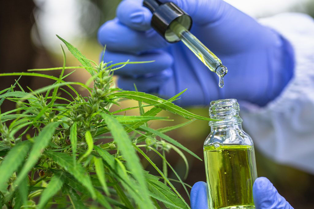Picture for category CBD Oil for Inflammation
