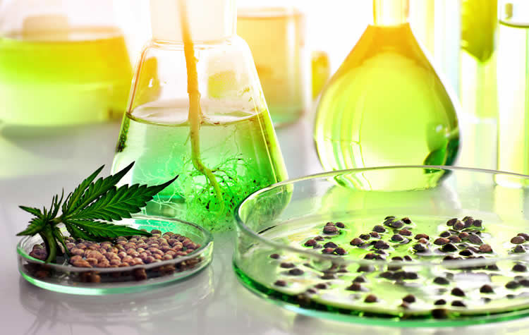 What Is CBD