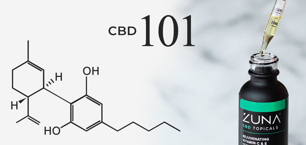 CBD Info